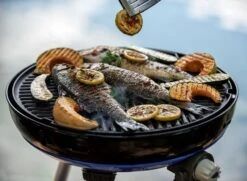 CADAC Camping Gasgrill Carri Chef 50 / BBQ Plancha + Dome - 30 Mbar -Grillen im Freien CADAC Carri Chef 50 30mbar Plancha
