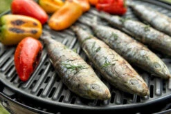 CADAC Camping Gasgrill Grillo Chef 40 / BBQ + Dome - 50 Mbar -Grillen im Freien CADAC Gasgrill Grillo Chef 40 Grillrost 1