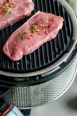 Cobb Grill Premier Gas Deluxe 2.0 - Gasgrill - Kartuschenanschluss - Modell 2023 17 Cobb Grill Premier Gas Deluxe 2.0 - Gasgrill - Kartuschenanschluss - Modell 2023 -Grillen im Freien Cobb Grasgrill Premier Deluxe 2 Griddle Grillplatte