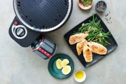 Cobb Grill Premier Gas Deluxe 2.0 - Gasgrill - Kartuschenanschluss - Modell 2023 16 Cobb Grill Premier Gas Deluxe 2.0 - Gasgrill - Kartuschenanschluss - Modell 2023 -Grillen im Freien Cobb Grill Premier Gas Deluxe 2 0 Grillplatte