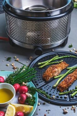 Cobb Grill Premier+ Gas Deluxe Gasgrill 50mbar - Modell 2023 19 Cobb Grill Premier+ Gas Deluxe Gasgrill 50mbar - Modell 2023 -Grillen im Freien Cobb Grill Premier Plus Gas Deluxe Griddle