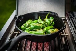 Grillfürst G210G 2-Brenner Gasgrill Mit Hochtemperaturbrenner Und Gusseisen Rosten -Grillen im Freien Grillfuerst Gasgrill G210G Pimentos de Padron