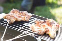Knister Grill Original - Ausziehbarer Holzkohle Kompaktgrill -Grillen im Freien Knister Grill Spiesse