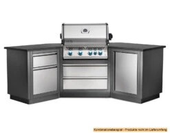 Napoleon Outdoor Küche Oasis Abschluss-Paneele -Grillen im Freien Napoleon Outdoor Kueche Oasis Schraenke