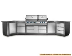 Napoleon Outdoor Küche Oasis Abschluss-Paneele -Grillen im Freien Napoleon Outdoor Kueche Oasis Vollausstattung