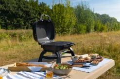 Napoleon TravelQ 240 Kompakt Gasgrill Schwarz- Modell 2023 -Grillen im Freien Napoleon TravelQ TQ240 Kompaktgrill
