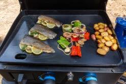 Pit Boss Plancha Grill Ultimate Plancha 2-Brenner - Mit Untergestell -Grillen im Freien Pit Boss Planchagrill 2 Brenner massive Plancha
