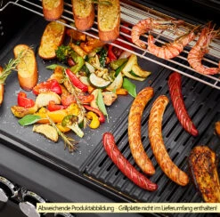 Rösle Gasgrill Magnum PRO G4-S Inkl. Abdeckhaube - Modell 2023 -Grillen im Freien Roesle Magnum Pro G4 S Grillflaeche 1