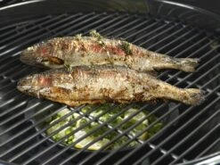 Outdoorchef Gusseisenpfanne / Aromapfanne Ø 23cm -Grillen im Freien outdoorchef aromapfanne 18 211 71 f