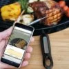 Outdoorchef Gourmet Check Dual BT Bluetooth Grillthermometer 1 Outdoorchef Gourmet Check Dual BT Bluetooth Grillthermometer -Grillen im Freien outdoorchef gourmet check dual bt 18 212 59 01